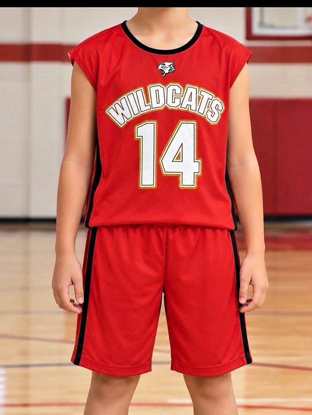 Disney High School Musical Troy Bolton Costume Wildcats #14 Costume Boys Large